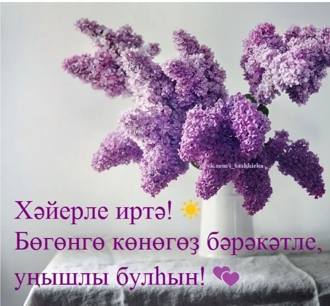 Хәйерле иртә!
